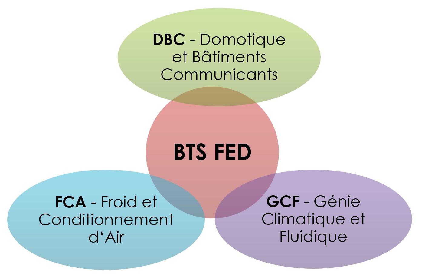 BTS FED – Lycée Hippolyte Fontaine – Dijon